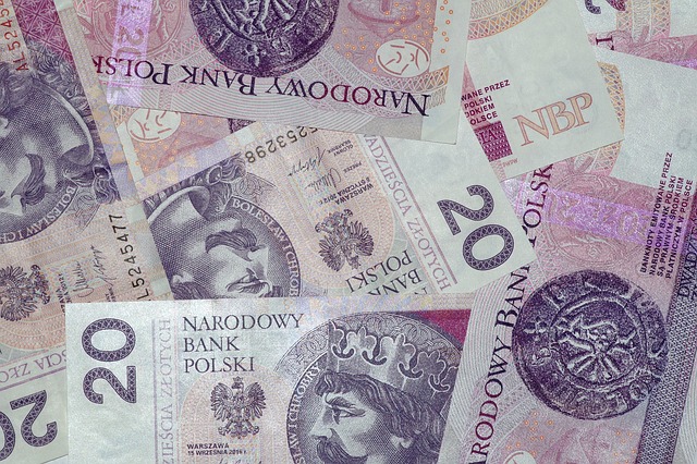 Polish Money